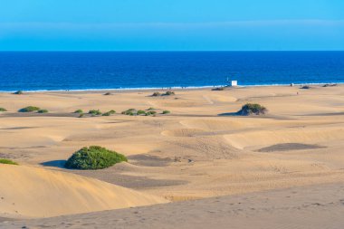 Maspalomas, Gran Kanarya, Kanarya Adaları, İspanya 'da kum tepeleri üzerinde gün batımı.
