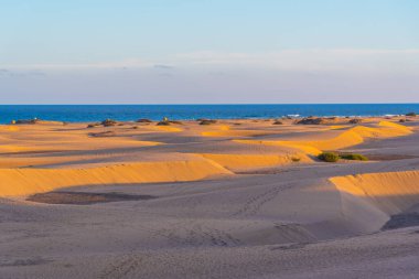 Maspalomas, Gran Kanarya, Kanarya Adaları, İspanya 'da kum tepeleri üzerinde gün batımı.