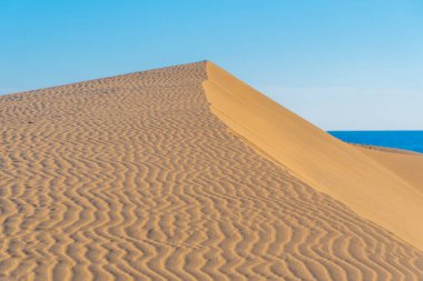 Maspalomlar, Gran Kanaryası, Kanarya Adaları, İspanya 'daki kum tepeleri.