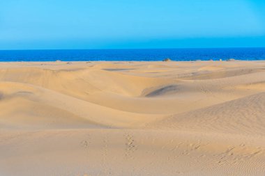 Maspalomlar, Gran Kanaryası, Kanarya Adaları, İspanya 'daki kum tepeleri.