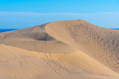 Maspalomlar, Gran Kanaryası, Kanarya Adaları, İspanya 'daki kum tepeleri.