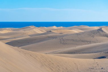 Maspalomlar, Gran Kanaryası, Kanarya Adaları, İspanya 'daki kum tepeleri.