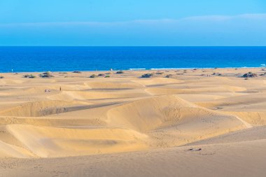 Maspalomlar, Gran Kanaryası, Kanarya Adaları, İspanya 'daki kum tepeleri.