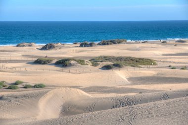 Maspalomlar, Gran Kanaryası, Kanarya Adaları, İspanya 'daki kum tepeleri.