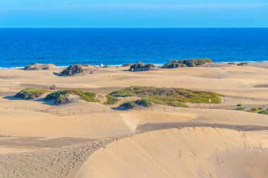 Maspalomlar, Gran Kanaryası, Kanarya Adaları, İspanya 'daki kum tepeleri.