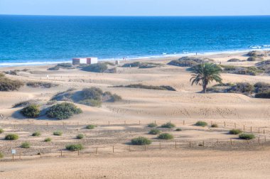 Maspalomlar, Gran Kanaryası, Kanarya Adaları, İspanya 'daki kum tepeleri.