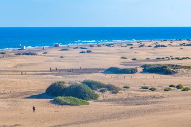 Maspalomlar, Gran Kanaryası, Kanarya Adaları, İspanya 'daki kum tepeleri.