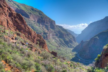 Gran Canaria 'daki Barranco de Guayadeque vadisi, Kanarya adaları, İspanya.