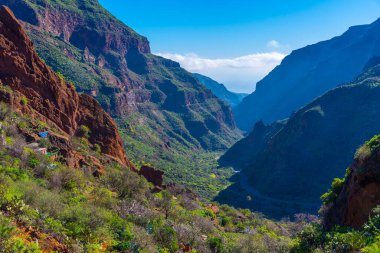 Gran Canaria 'daki Barranco de Guayadeque vadisi, Kanarya adaları, İspanya.