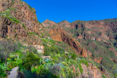 Gran Canaria 'daki Barranco de Guayadeque vadisi, Kanarya adaları, İspanya.