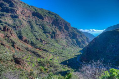 Gran Canaria 'daki Barranco de Guayadeque vadisi, Kanarya adaları, İspanya.