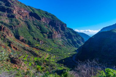 Gran Canaria 'daki Barranco de Guayadeque vadisi, Kanarya adaları, İspanya.