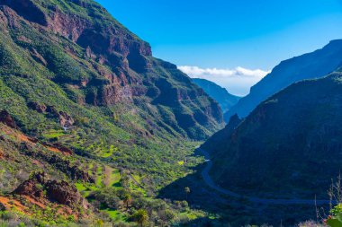 Gran Canaria 'daki Barranco de Guayadeque vadisi, Kanarya adaları, İspanya.