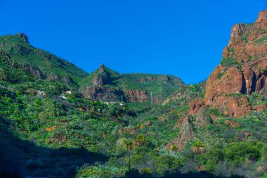 Gran Canaria 'daki Barranco de Guayadeque vadisi, Kanarya adaları, İspanya.