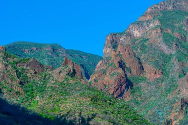 Gran Canaria 'daki Barranco de Guayadeque vadisi, Kanarya adaları, İspanya.