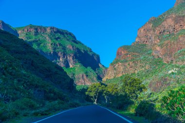 Gran Canaria 'daki Barranco de Guayadeque vadisi, Kanarya adaları, İspanya.