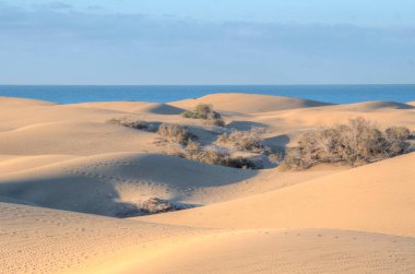 Maspalomas, Gran Kanarya, Kanarya Adaları, İspanya 'da kum tepeleri üzerinde gün doğumu.