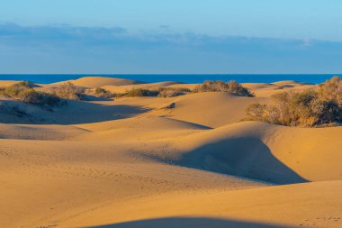 Maspalomas, Gran Kanarya, Kanarya Adaları, İspanya 'da kum tepeleri üzerinde gün doğumu.