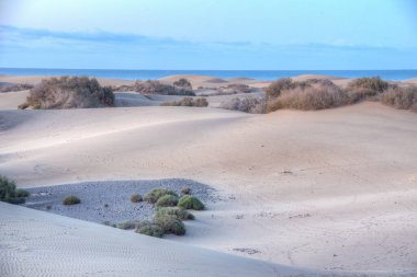 Maspalomas, Gran Kanarya, Kanarya Adaları, İspanya 'da kum tepeleri üzerinde gün doğumu.