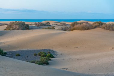 Maspalomas, Gran Kanarya, Kanarya Adaları, İspanya 'da kum tepeleri üzerinde gün doğumu.