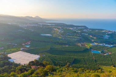 Gran Canaria, Kanarya Adaları, İspanya 'daki muz çiftliklerinin günbatımı manzarası.