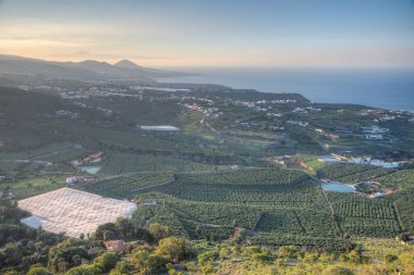 Gran Canaria, Kanarya Adaları, İspanya 'daki muz çiftliklerinin günbatımı manzarası.