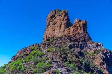 Roque Bentayga 'daki mağara evleri Gran Canaria, Kanarya Adaları, İspanya.
