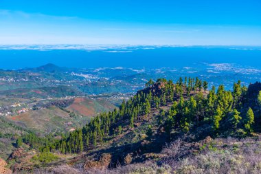 Gran Canaria 'nın Las Palmas, Kanarya Adaları' na uzanan kıyı şeridi manzarası.