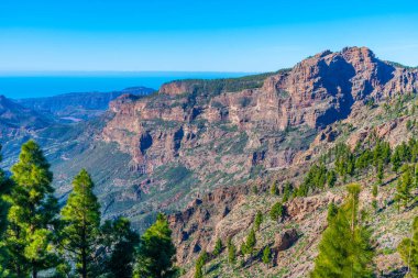 Gran Canaria Pico de las Nieves, Kanarya Adaları, İspanya.