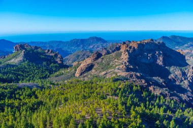 Gran Kanarya 'nın dağlık manzarası, Kanarya Adaları, İspanya.