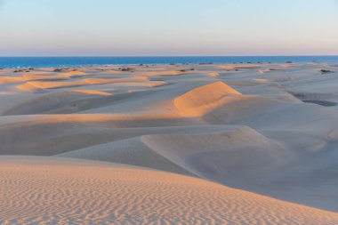 Maspalomas, Gran Kanarya, Kanarya Adaları, İspanya 'da kum tepeleri üzerinde gün batımı.