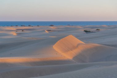 Maspalomas, Gran Kanarya, Kanarya Adaları, İspanya 'da kum tepeleri üzerinde gün batımı.