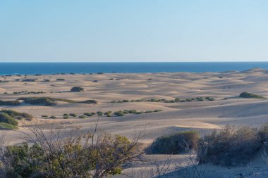 Maspalomas, Gran Kanarya, Kanarya Adaları, İspanya 'da kum tepeleri üzerinde gün batımı.