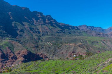 Barranco de Tirajana Gran Canaria, Kanarya Adaları, İspanya.