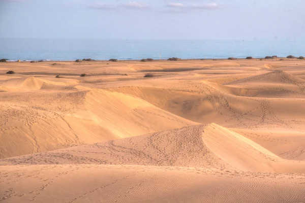 Tramonto Sulle Dune Sabbia Maspalomas Gran Canaria Isole Canarie Spagna — Foto Stock
