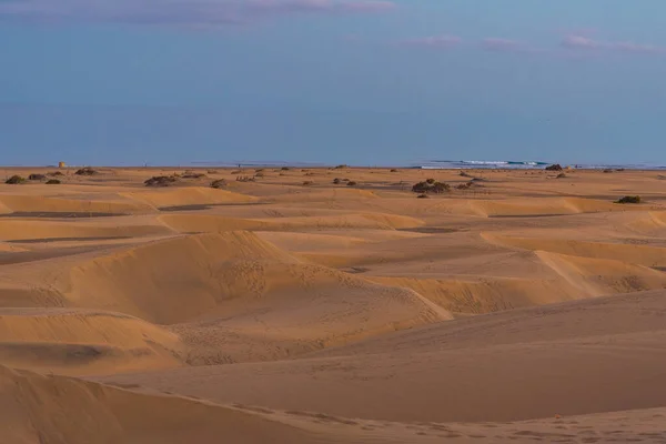 Tramonto Sulle Dune Sabbia Maspalomas Gran Canaria Isole Canarie Spagna — Foto Stock
