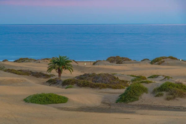 Sunset Sand Dunes Maspalomas Gran Canaria Canary Islands Spain — ストック写真