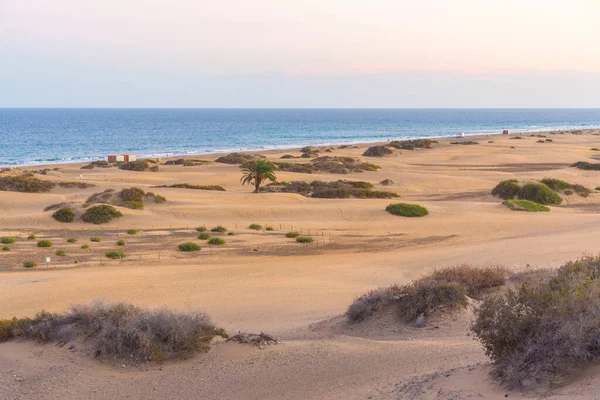 Sunset Sand Dunes Maspalomas Gran Canaria Canary Islands Spain — стоковое фото