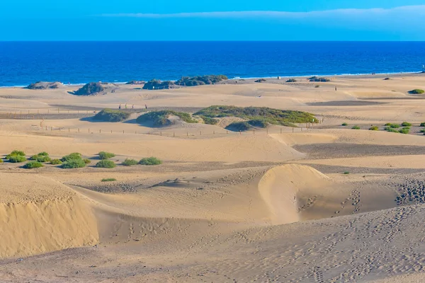 Dune Sabbia Maspalomas Gran Canaria Isole Canarie Spagna — Foto Stock