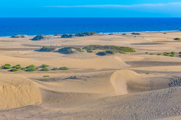 Sand Dunes Maspalomas Gran Canaria Canary Islands Spain — стоковое фото