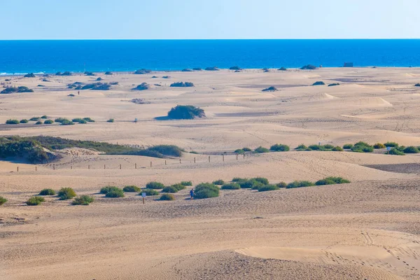 Dunes Sable Maspalomas Grande Canarie Îles Canaries Espagne — Photo
