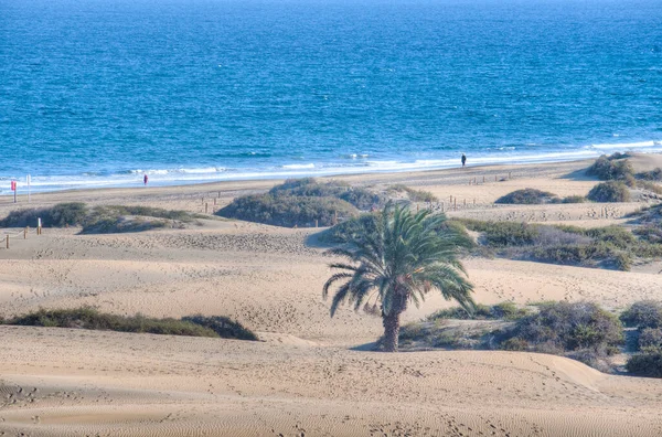 Zandduinen Maspalomas Gran Canaria Canarische Eilanden Spanje — Stockfoto