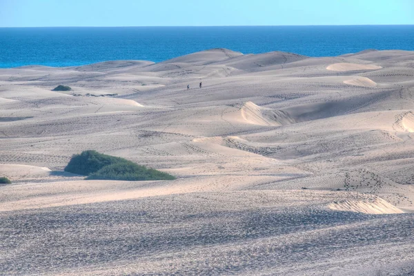 Dune Sabbia Maspalomas Gran Canaria Isole Canarie Spagna — Foto Stock