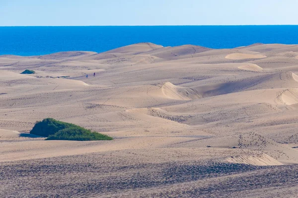 Sand Dunes Maspalomas Gran Canaria Canary Islands Spain — стоковое фото