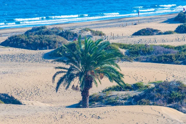 Zandduinen Maspalomas Gran Canaria Canarische Eilanden Spanje — Stockfoto