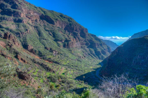 Barranco Guayadeque Valle Gran Canaria Islas Canarias España —  Fotos de Stock