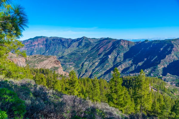 Paisagem Montanhosa Gran Canaria Ilhas Canárias Espanha — Fotografia de Stock