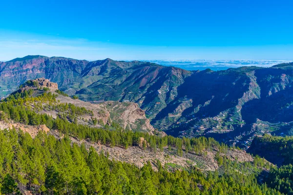 Гірський Краєвид Гран Канарії Канарські Острови Іспанія — стокове фото