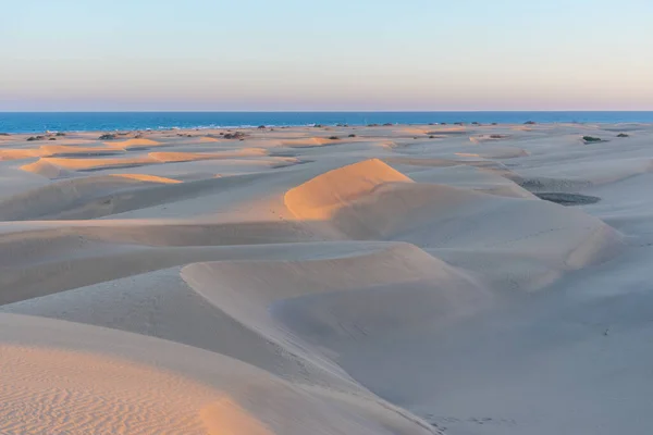 Solnedgång Över Sanddyner Maspalomas Gran Canaria Kanarieöarna Spanien — Stockfoto