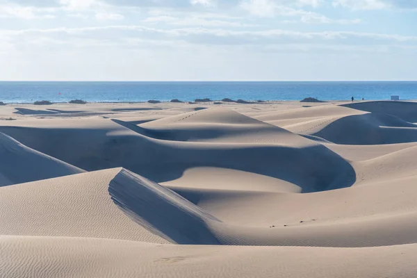 Sunrise Sand Dunes Maspalomas Gran Canaria Canary Islands Spain — стоковое фото